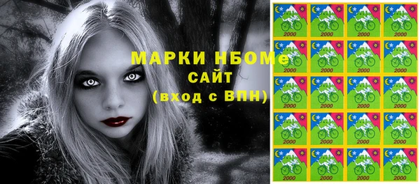 шишки Баксан