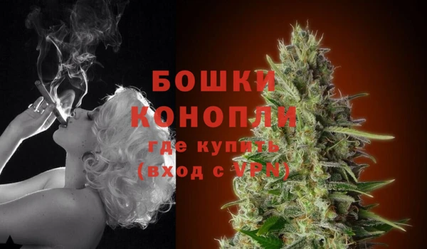 шишки Баксан