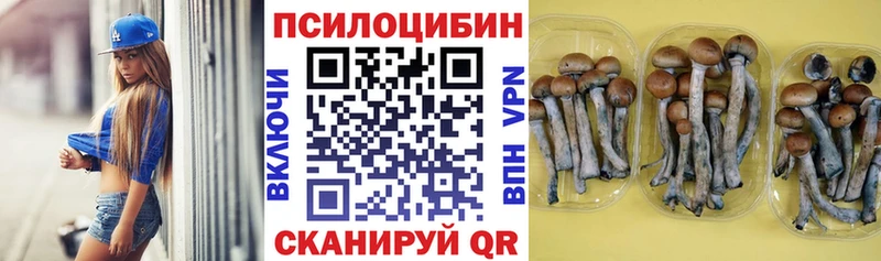 Купить  Грязовец  Галлюциногенные грибы ЛСД 